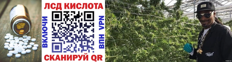 Купить закладки  Октябрьск  Лсд 25 экстази ecstasy 